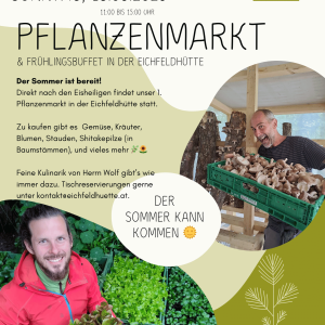 pflanzenmarktpilze