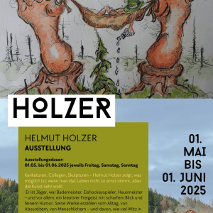 ausstellungsdauer-holzer-heli