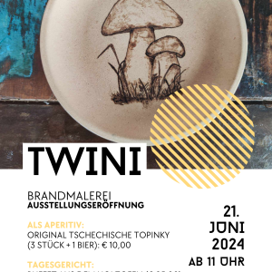 plakat-twini